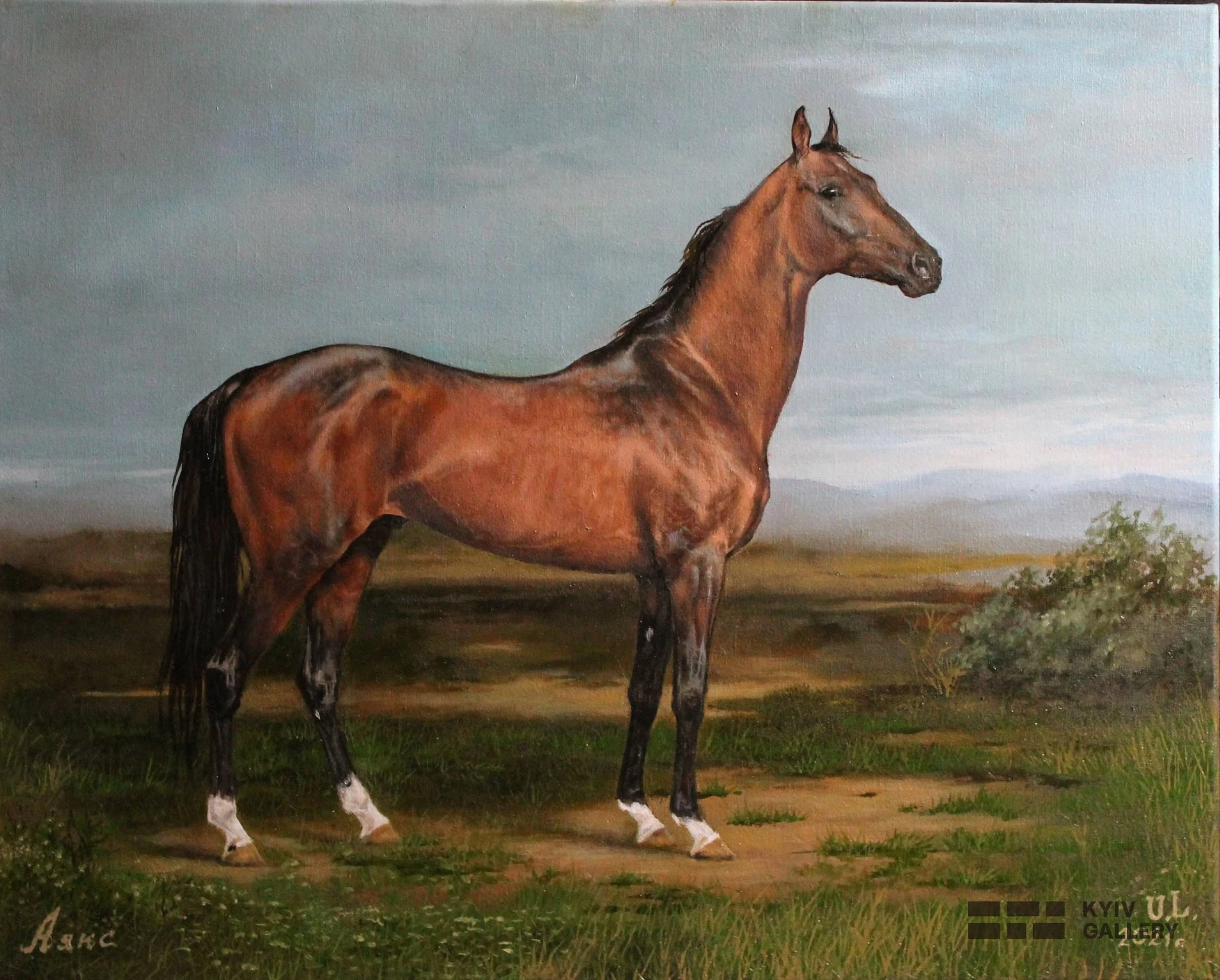 “Akhal-Teke Stallion”, oil, canvas — Yulia Lychagina