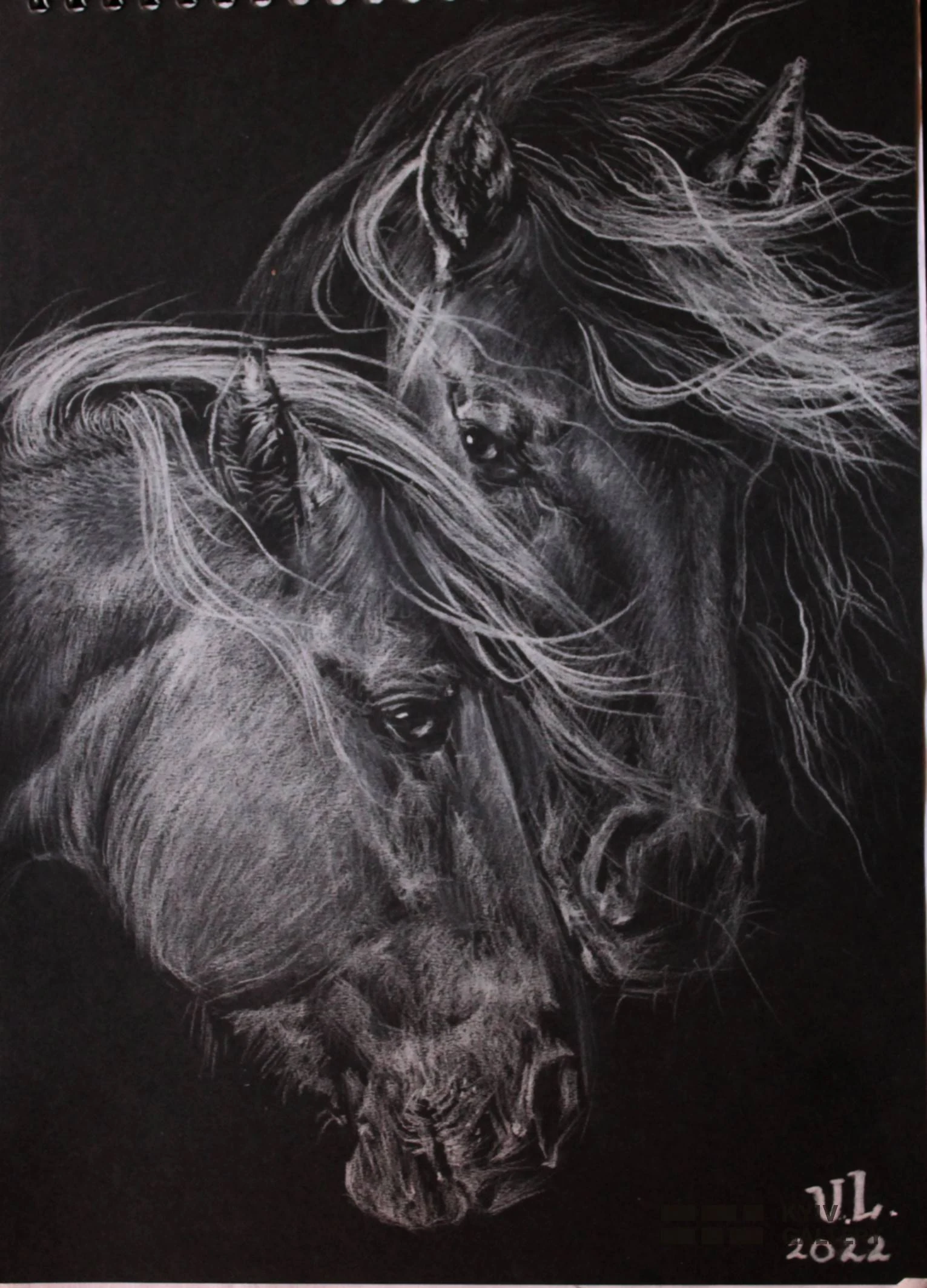 “Free”, pencil, paper — Yulia Lychagina