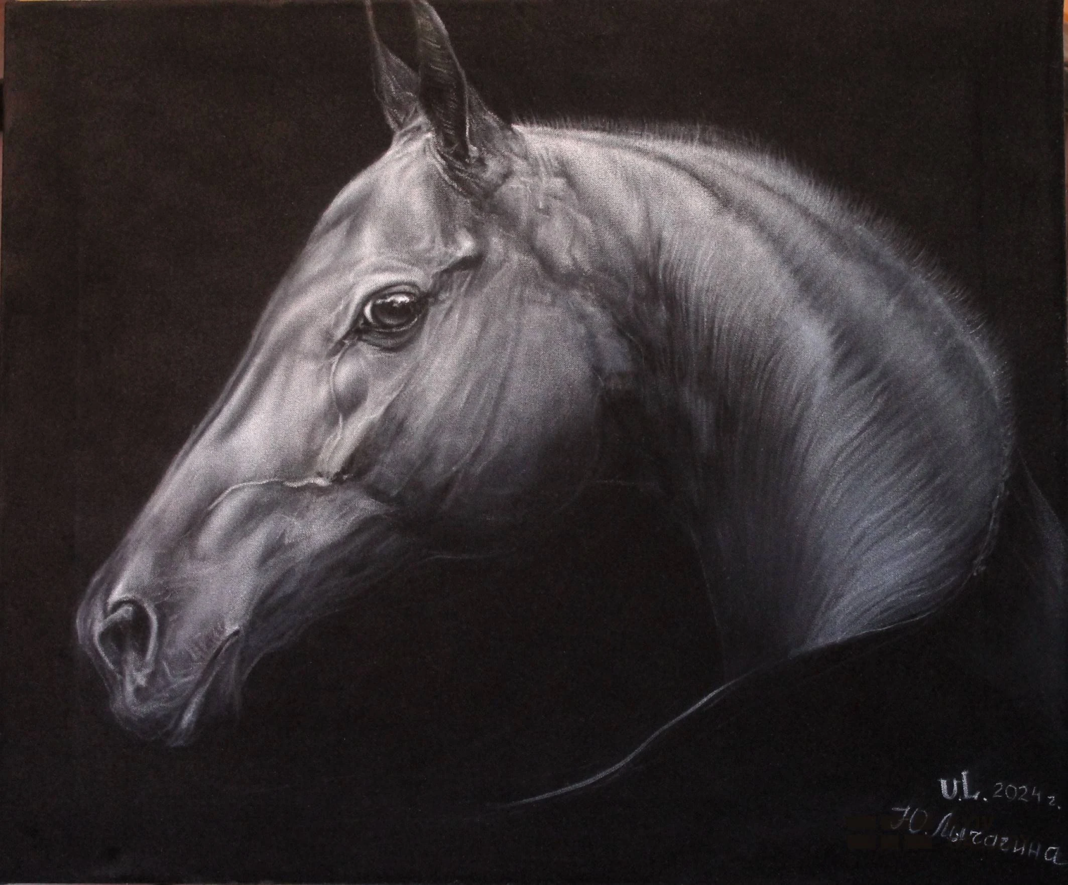“The Gaze”, oil, silk — Yulia Lychagina