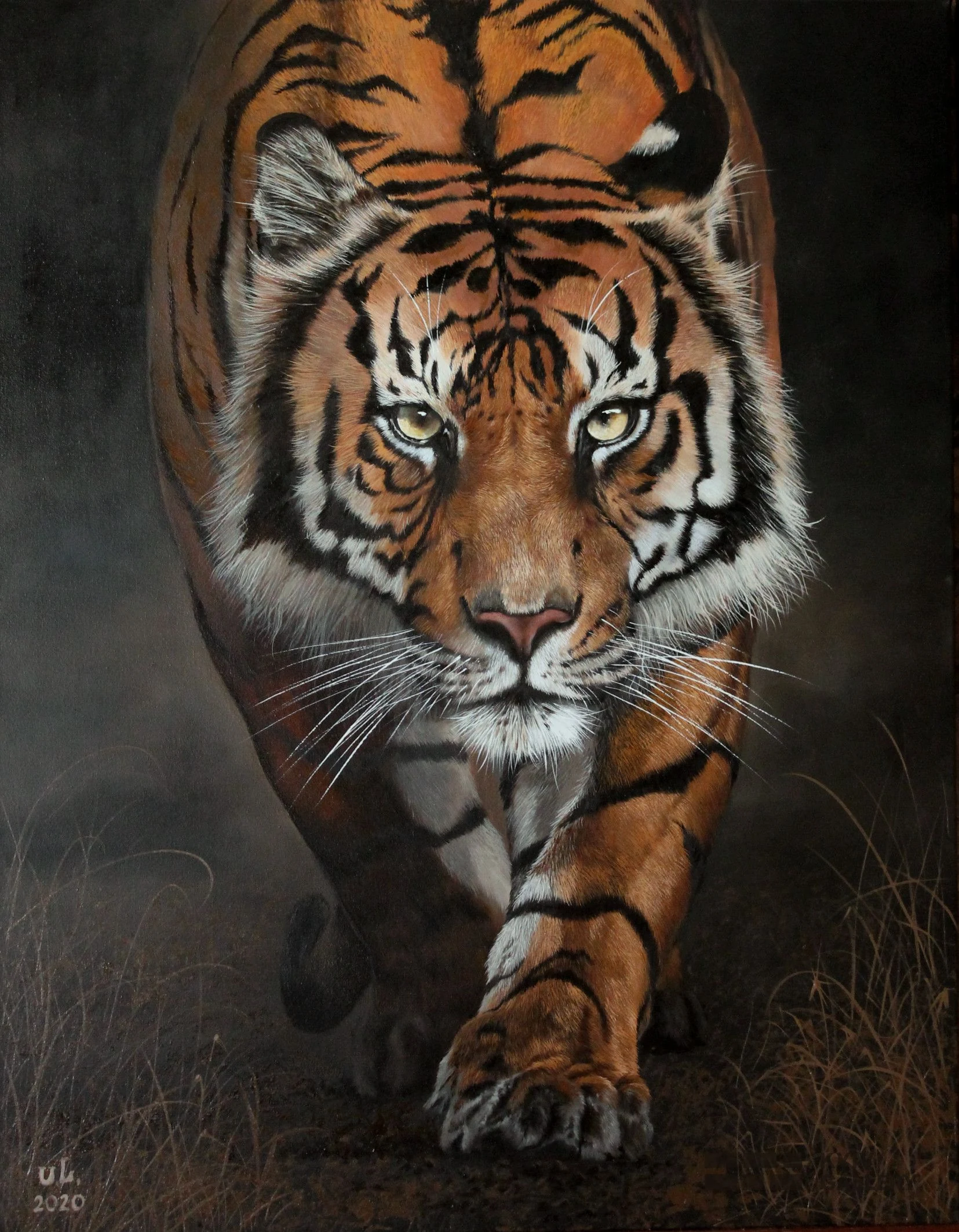 “Bengal Tiger”, oil, canvas — Yulia Lychagina