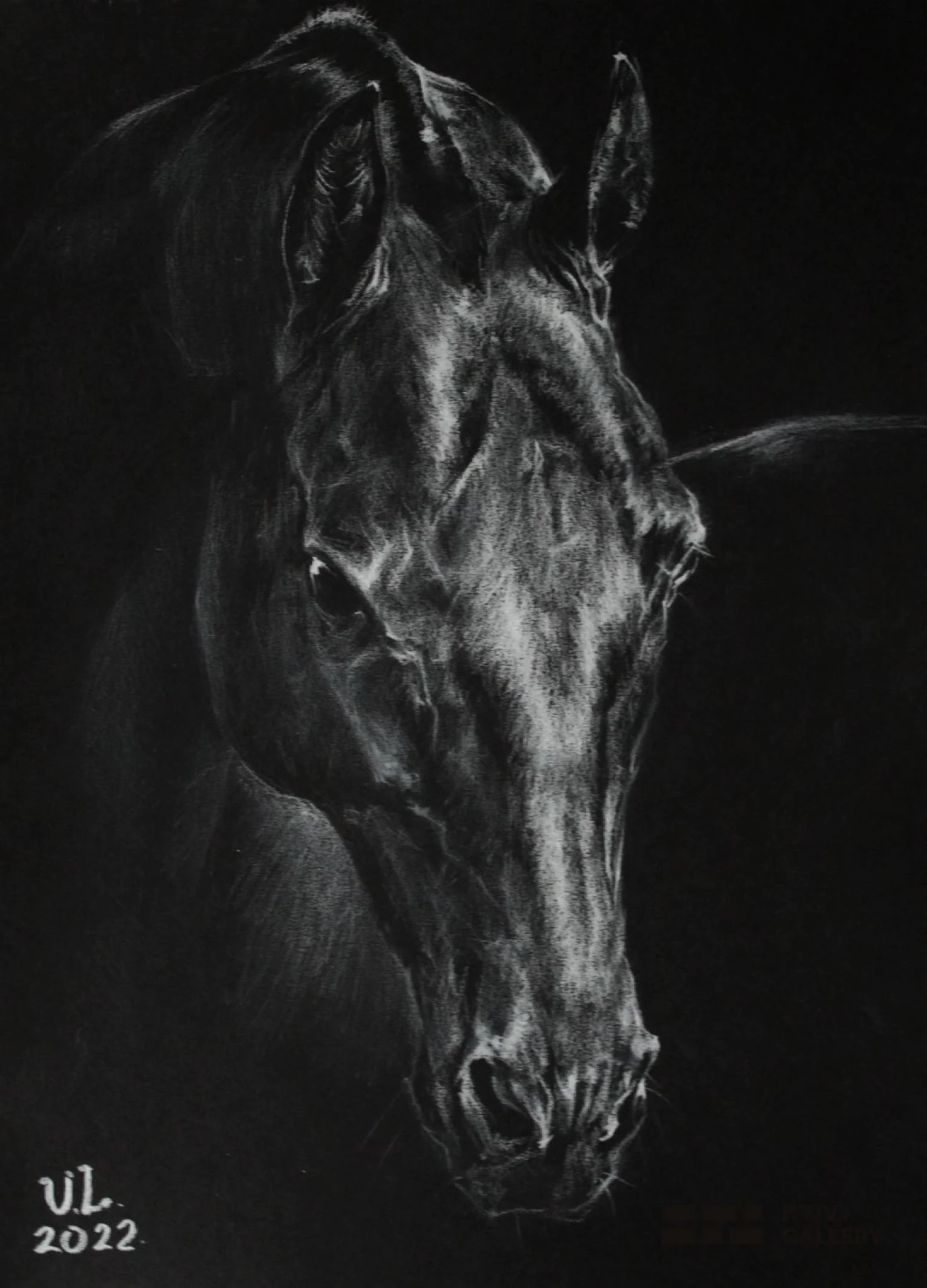 “Garayusup”, pencil, paper — Yulia Lychagina