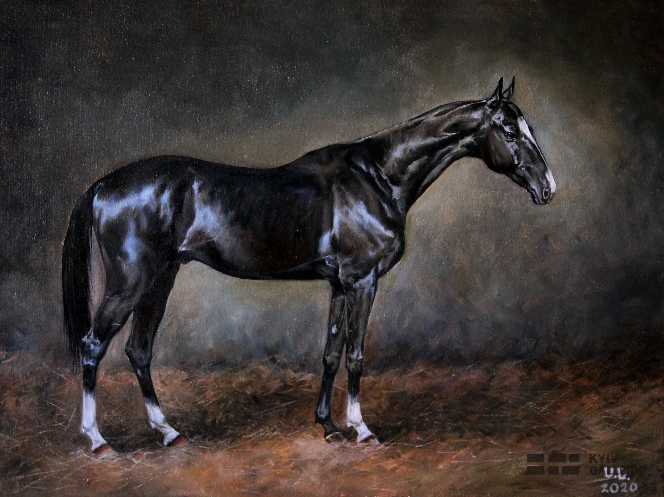 “Akhal-Teke Stallion Khalil Shael”, oil, canvas — Yulia Lychagina